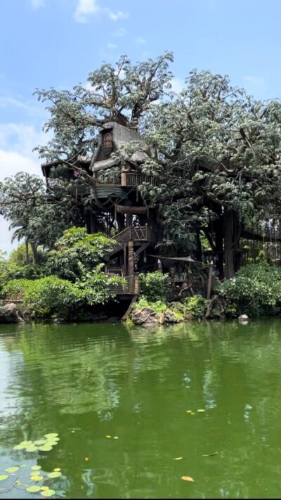 Hong Kong Disneyland Ride ranking treehouse