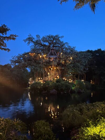 Hong Kong Disneyland Rides and Attractions tarzan