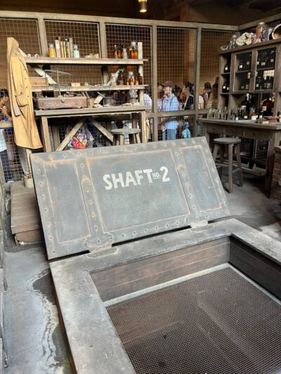 Hong Kong Disneyland Ride Ranking grizzly