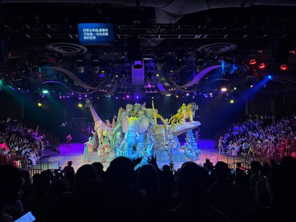 Hong Kong Disneyland Rides and Attractions simba