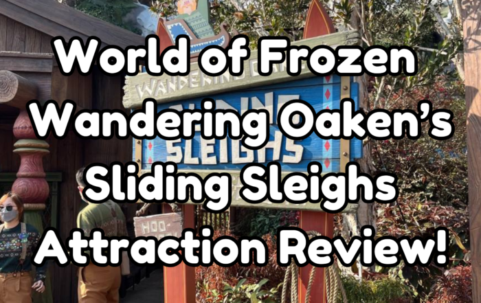 Wandering Oaken's Sliding Sleighs Review