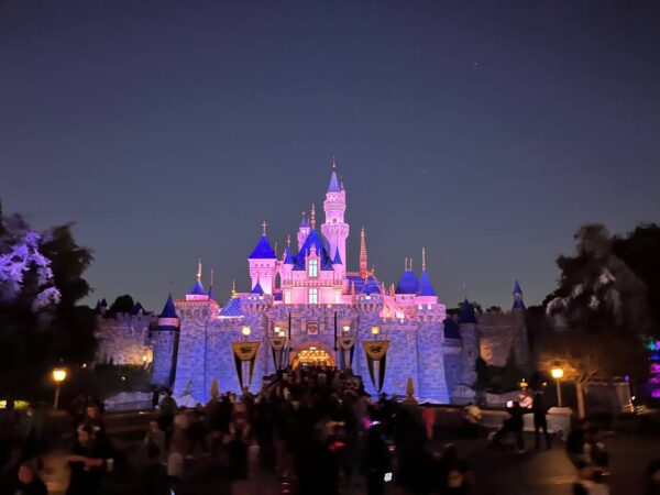 Disneyland Early Entry Guide and Strategy castle