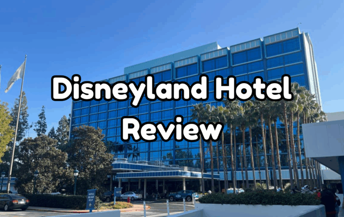 DIsneyland Hotel Cover