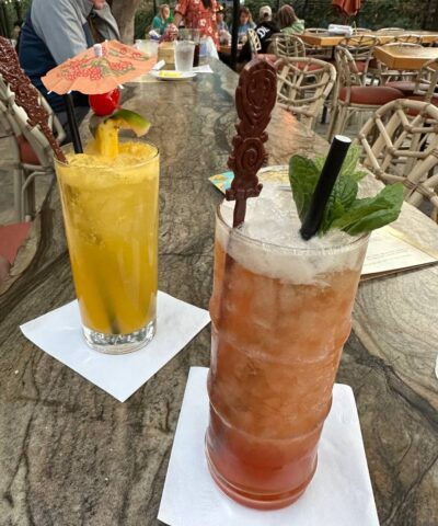 Disneyland Planning Guide trader