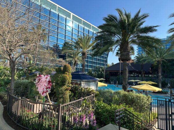 Beginner's Guide to Disneyland hotel