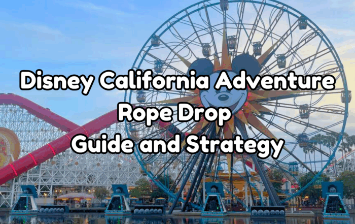 California Adventure Rope Drop cover