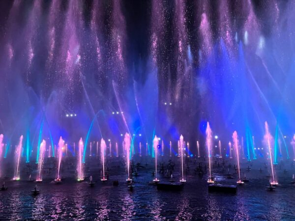 Disneyland Worth It woc