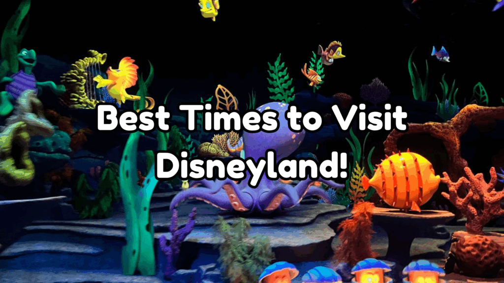 Best Times to Visit Disneyland (And When Not to Go)