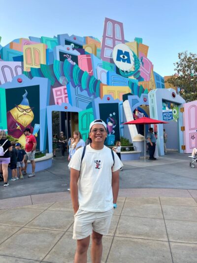 Disneyland and California Adventure 1-Day me