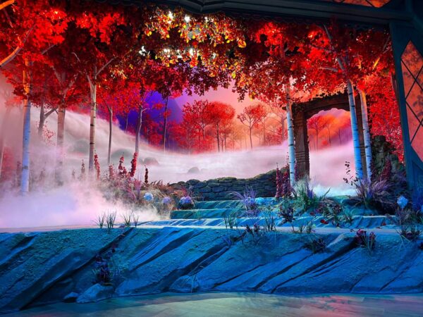 Playhouse in the Woods fog