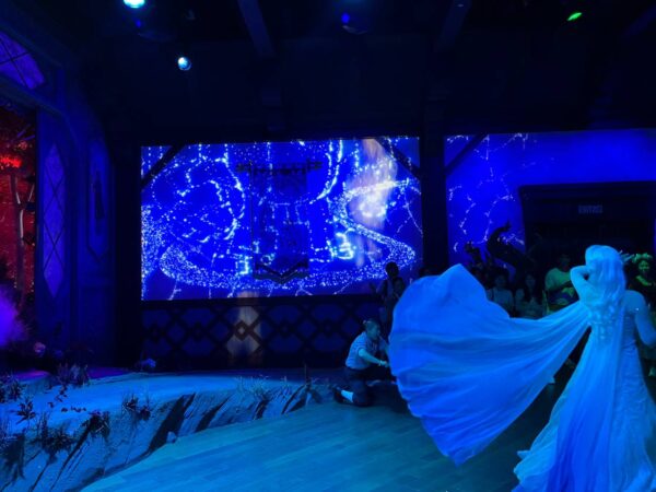 Playhouse in the Woods elsa