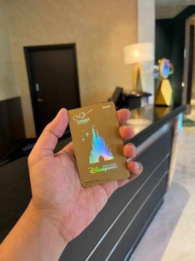 Hong Kong Disneyland On a Budget magic access