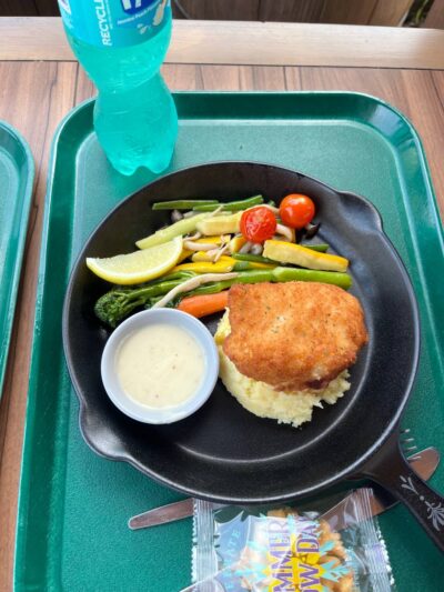 World of Frozen food