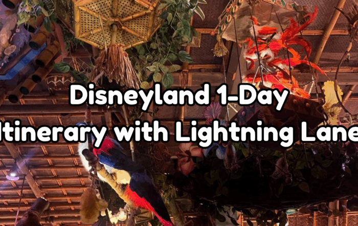 Disneyland itinerary with lightning lane cover