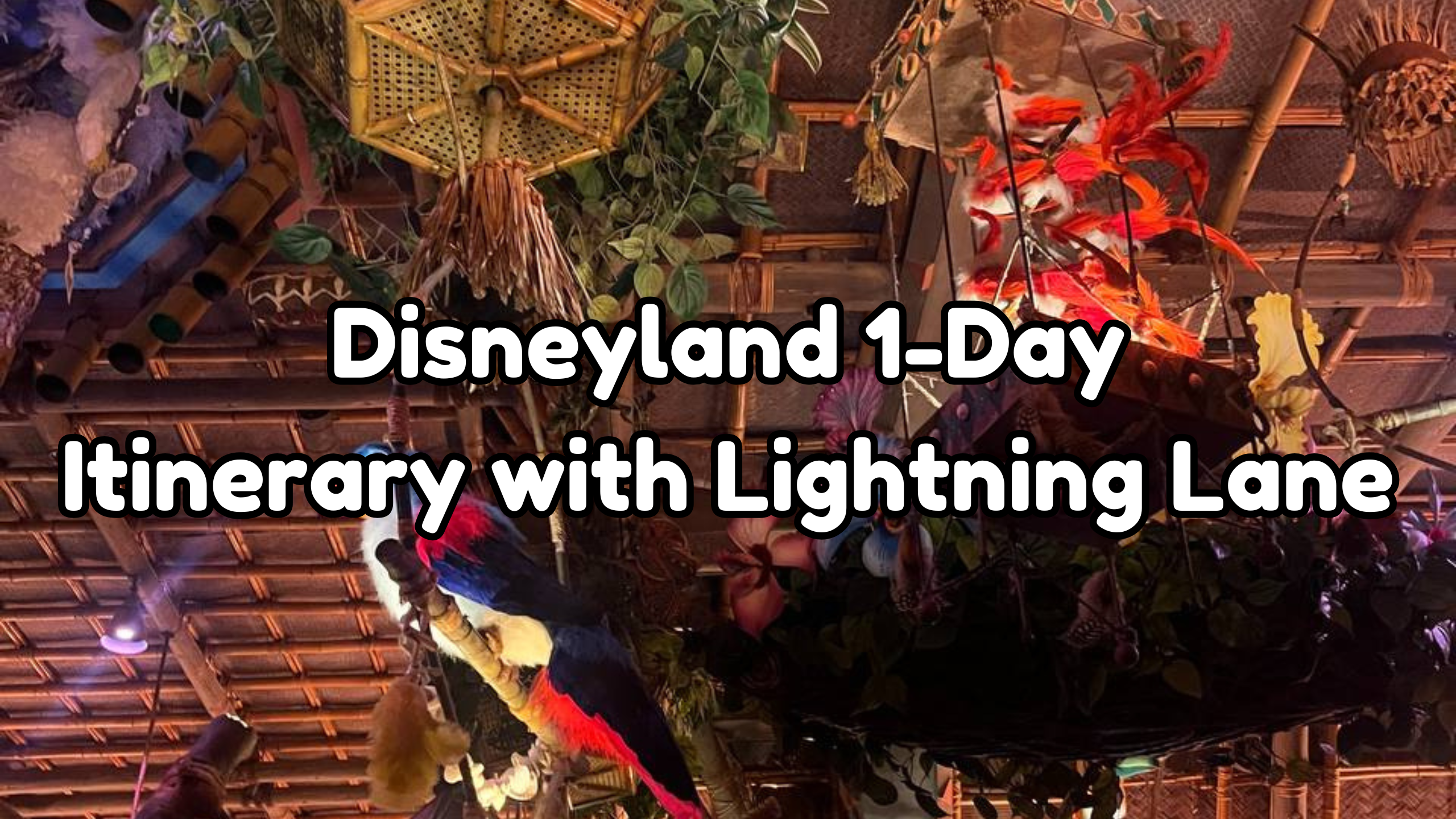 Disneyland itinerary with lightning lane cover
