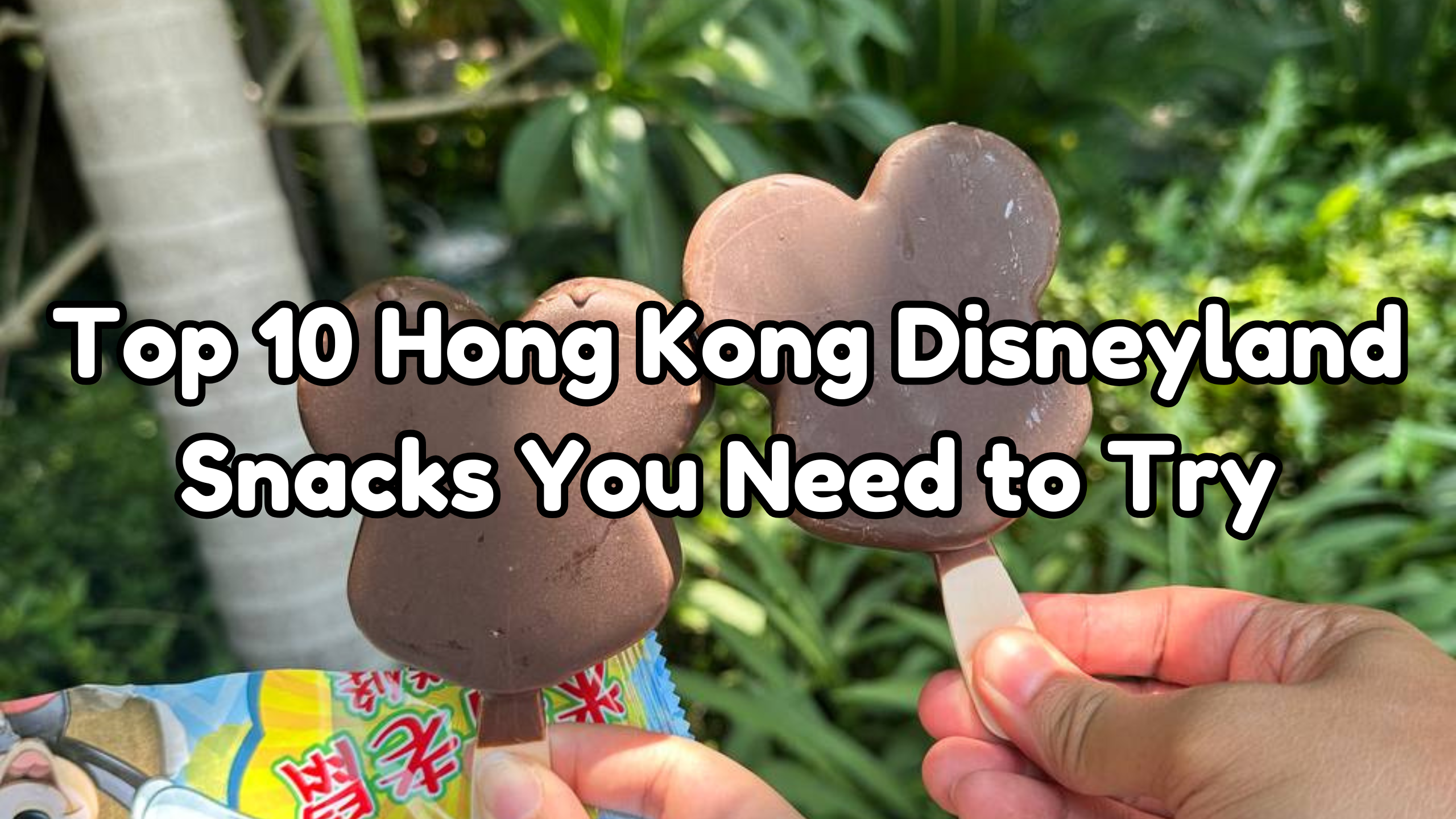 Hong Kong Disneyland Snacks cover