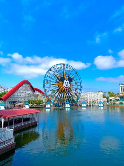 Disneyland on a budget wheel