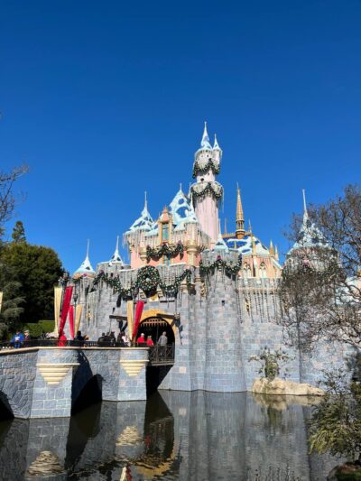 Disneyland Worth It blues