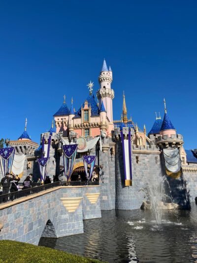Disneyland for kids 100th castle