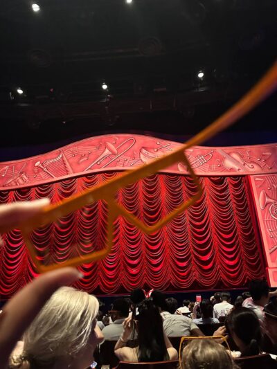 Hong Kong Disneyland Shows glasses