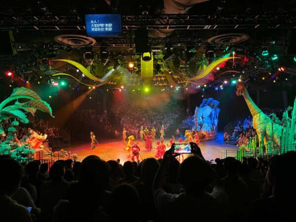 Hong Kong Disneyland Shows lion king
