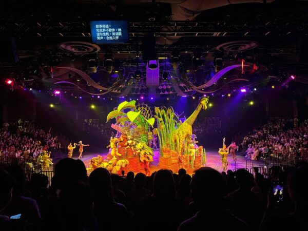 Hong Kong Disneyland Shows king