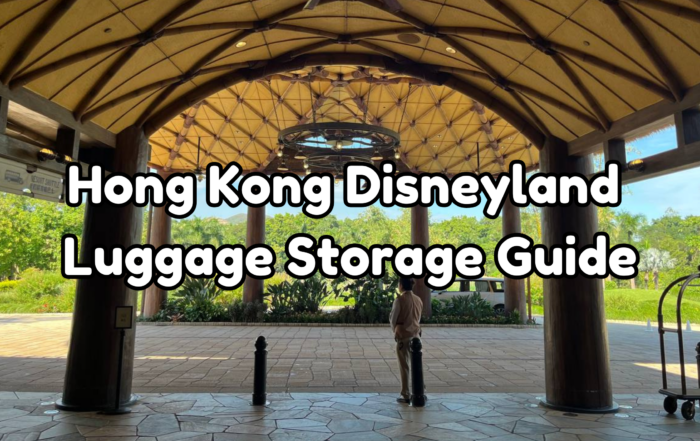 Hong Kong Disneyland Luggage Storage cover