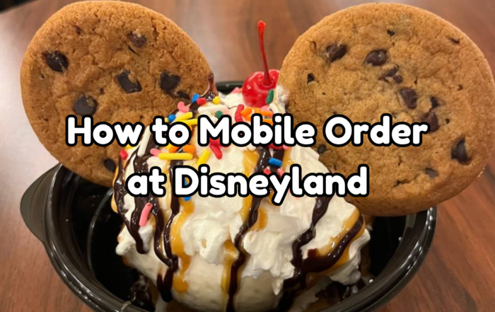 Mobile Order at Disneyland cover