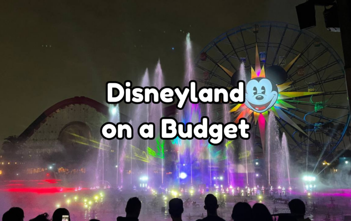 Disneyland on a budget cover