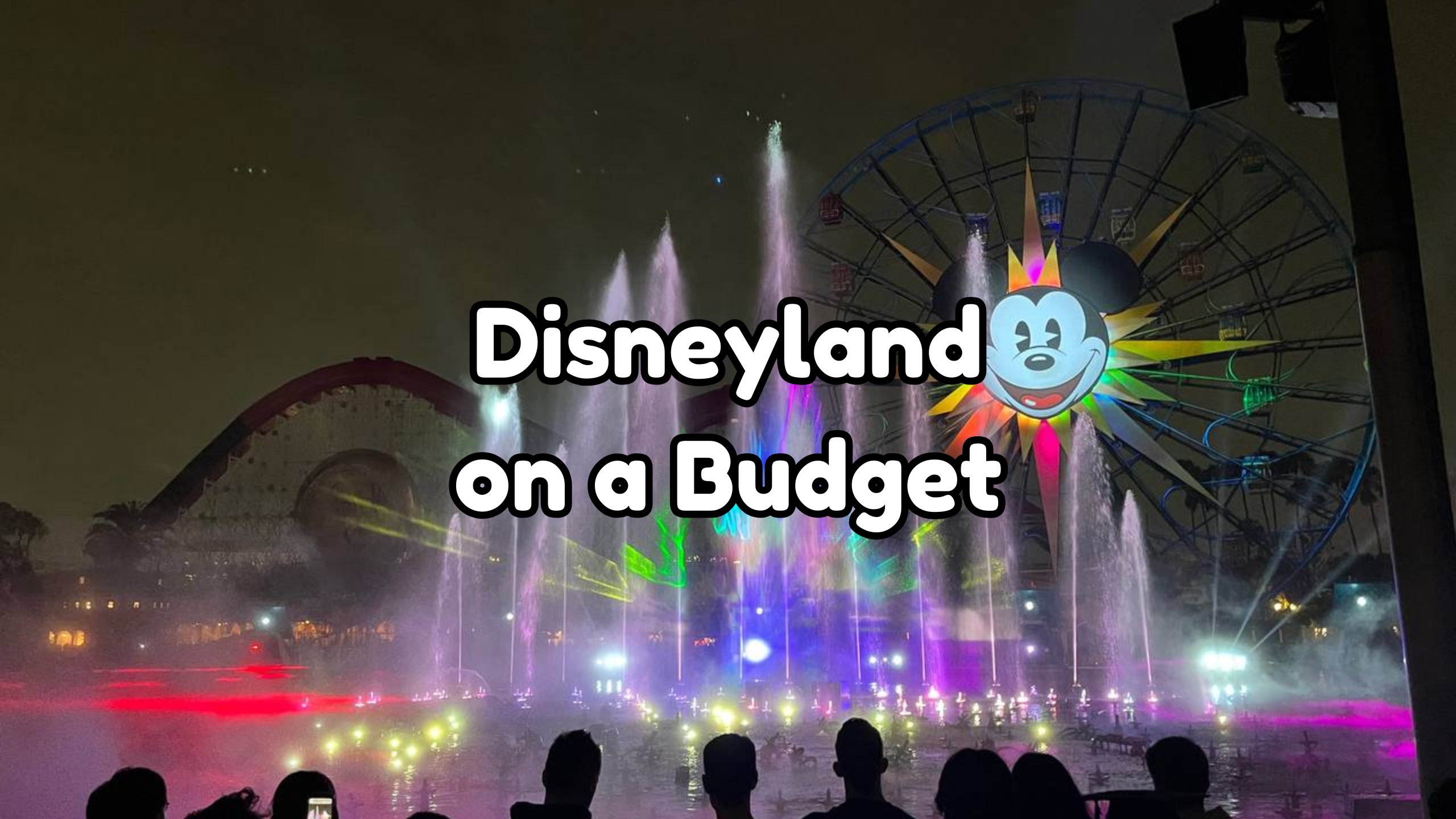 Disneyland on a budget cover