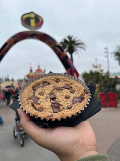 Disneyland Solo Travel cookie