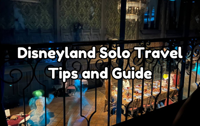 Disneyland solo travel cover