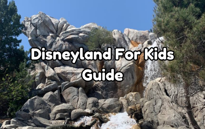 Disneyland for Kids cover