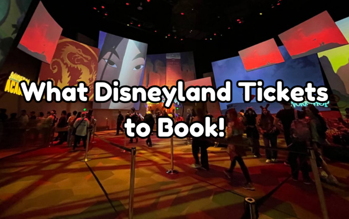 Disneyland tickets cover