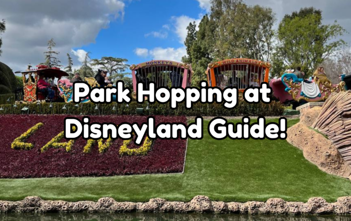 park hopping at Disneyland cover