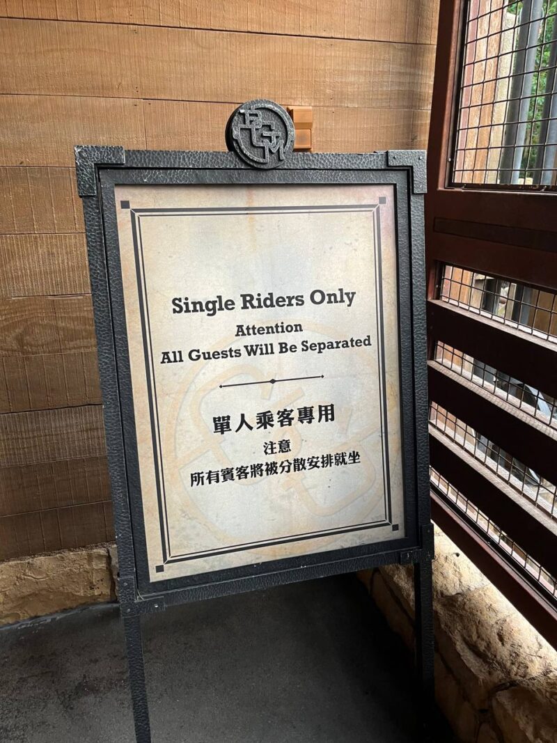 Hong Rider Hong Kong Disneyland Single Rider Lines Guide - The Disney Specialist