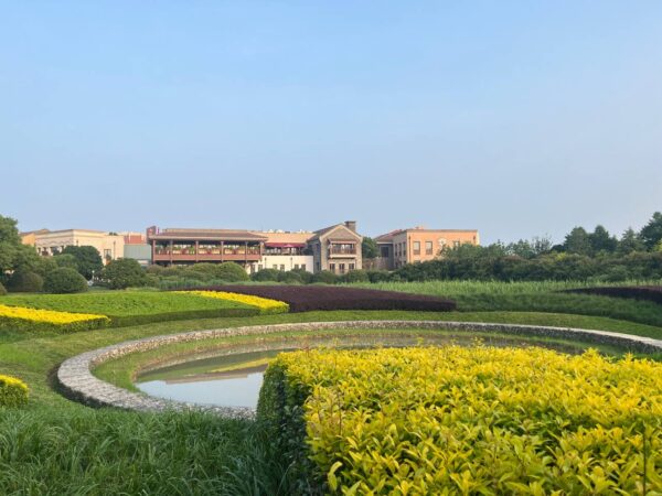 1-Day Shanghai Disneyland Itinerary disneytown