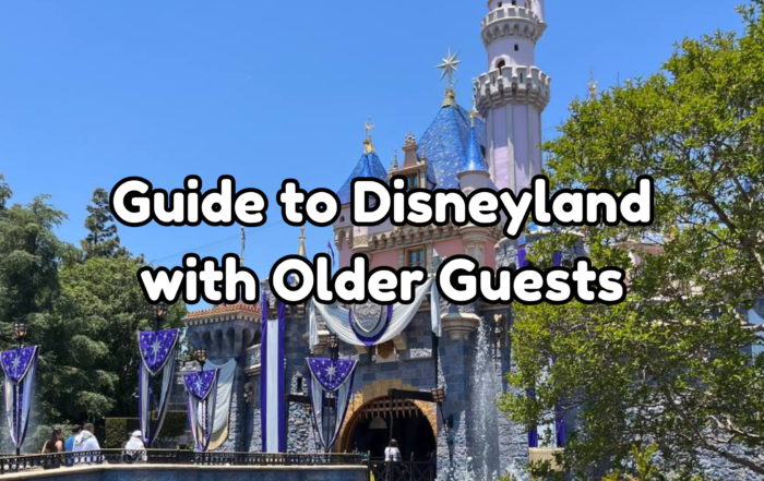 Disneyland with Older Guests cover