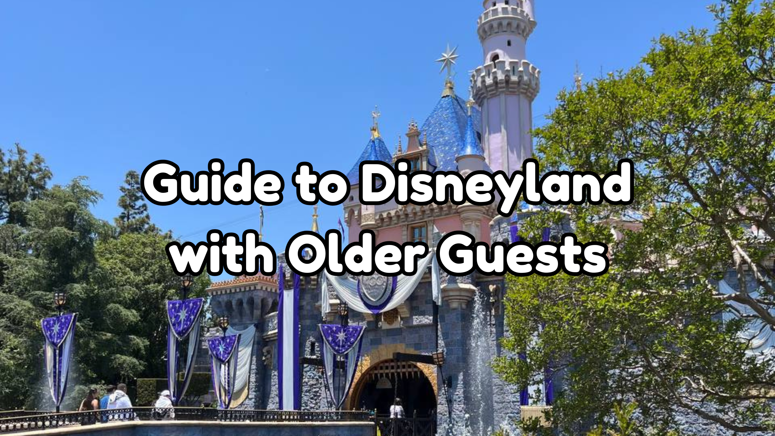 Disneyland with Older Guests cover