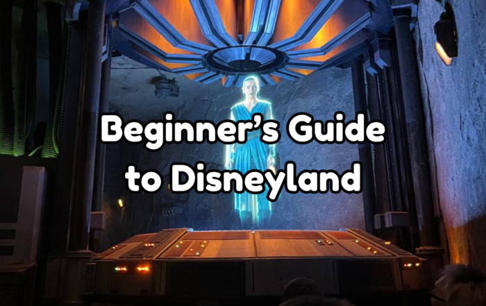 Beginner's Guide to Disneyland cover