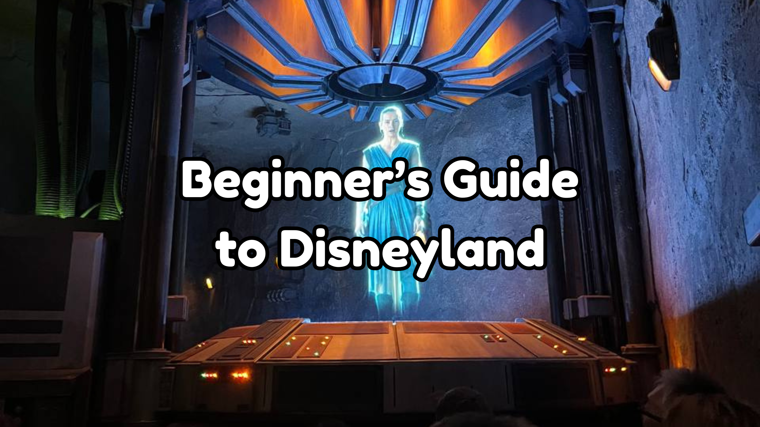 Beginner's Guide to Disneyland cover